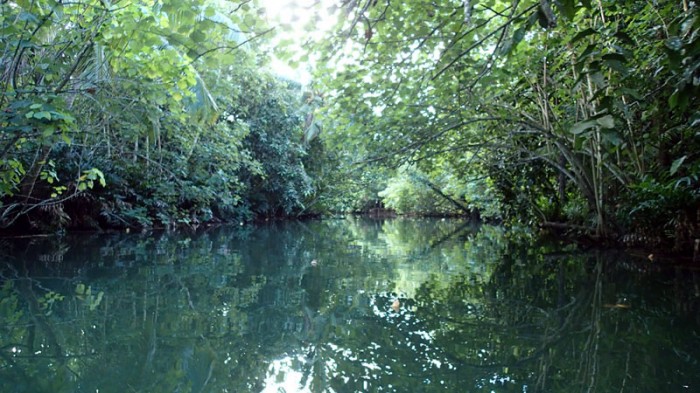 Rivière Faaroa à la rame