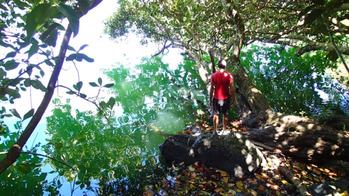 Eaux vertes du lac Lalolalo