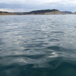 Pétole, la baie de Tolaga nous accueille