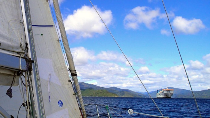 Les Marlborough Sounds