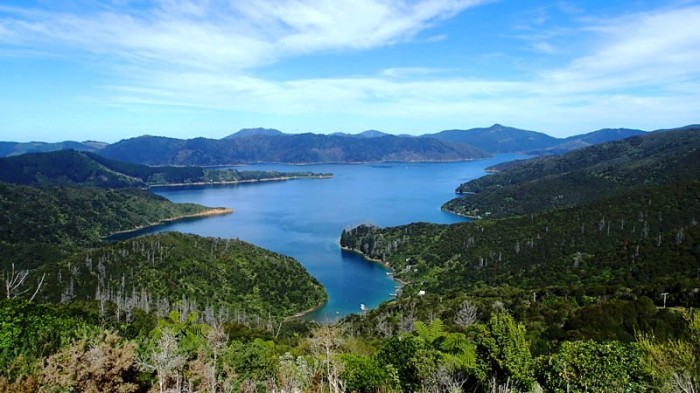 Bay of Many Coves et Queen Charlotte Sound