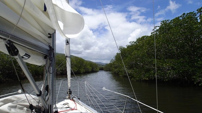 Dans la mangrove, en approche du mouillage…