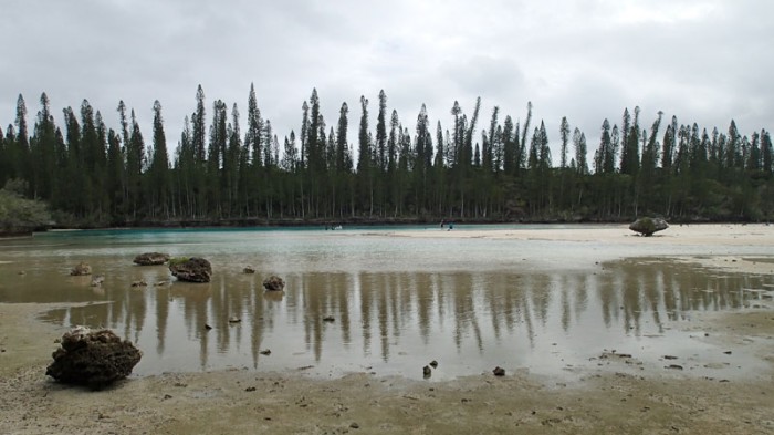 Baie d’Oro, piscine naturelle à BM et pins colonnaires