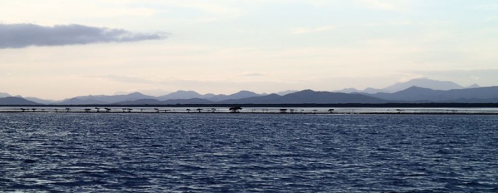 Non loin de Boat Pass, le long du récif Thaavaam