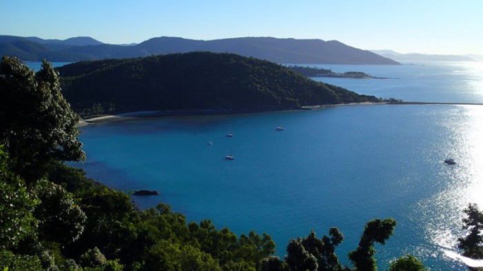 L’Envol à Bauer Bay (South Molle Island)