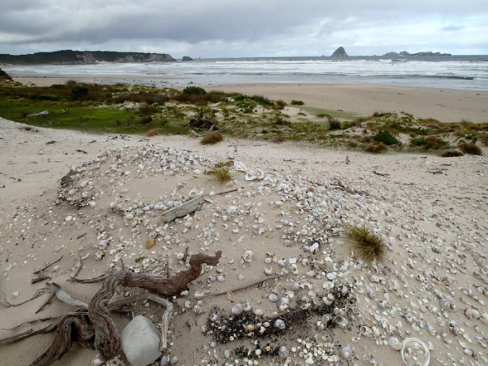 Midden aborigène, au fond le Sugarloaf Rock (Southern Ocean)