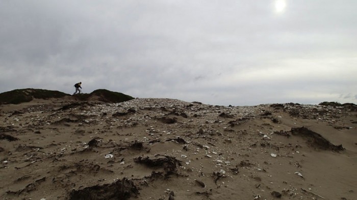 Midden aborigène à Point Lesueur (Maria Island)