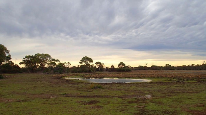 … Maria Island