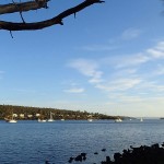 King George Sound, la baie de Murdunna