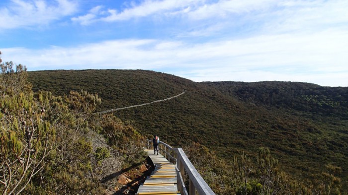 « La muraille de Tasmanie »