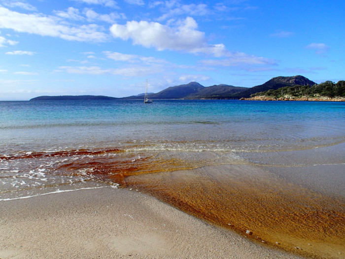 Crocketts Bay, L’Envol au mouillage