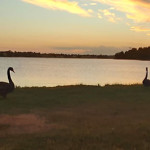 Coucher de soleil sur les Gippsland Lakes