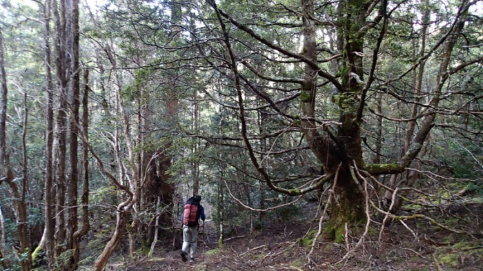 … une vallée sauvage et isolée au chemin mal tracé…