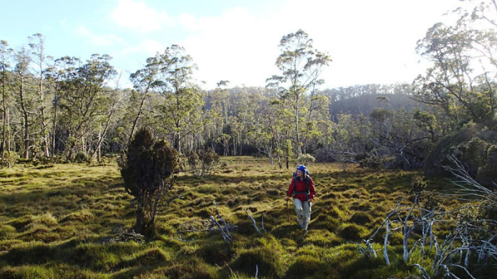 … qui connecte le Walls of Jerusalem à la fin de l’Overland Track