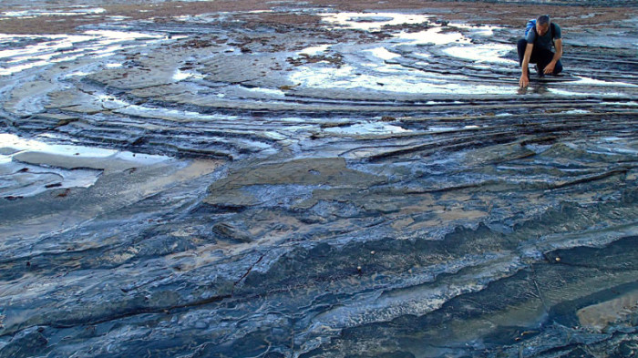 Wynyard, une géologie torturée