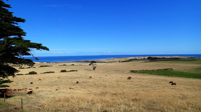 Vue au NW, au fond les 3 cimes de Three Hummock Island (Hunter Group)…