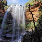 La cascade de Wentworth Falls (Blue Mountains)