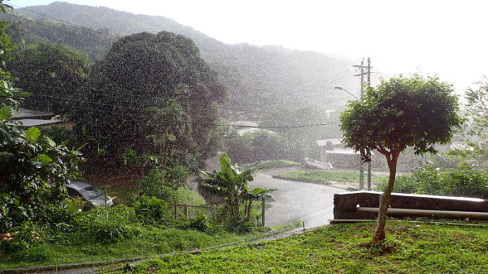 Pluie tropicale, Tobago