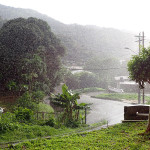 Tropical rain in Tobago